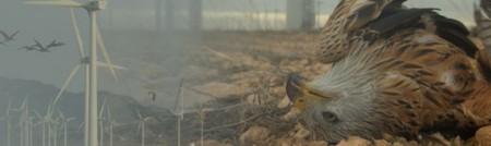 Vėjo jėgainės - nuomonė